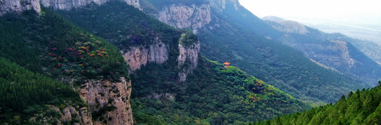 91视频成人免费版